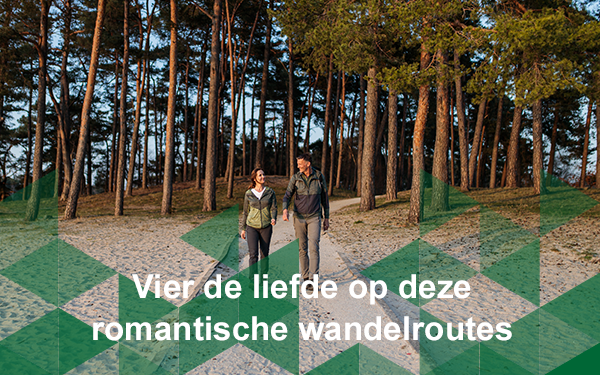 Header nieuwsbrief