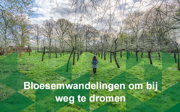 Header nieuwsbrief