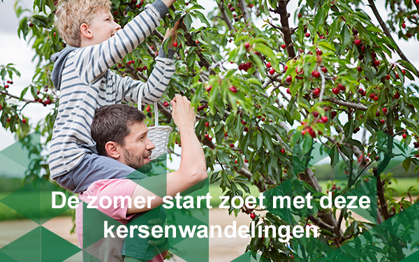 Header nieuwsbrief
