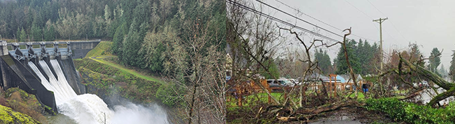 Photo on the left shows Mayfield Dam. Photo on the right shows trees damaged from a windstorm.