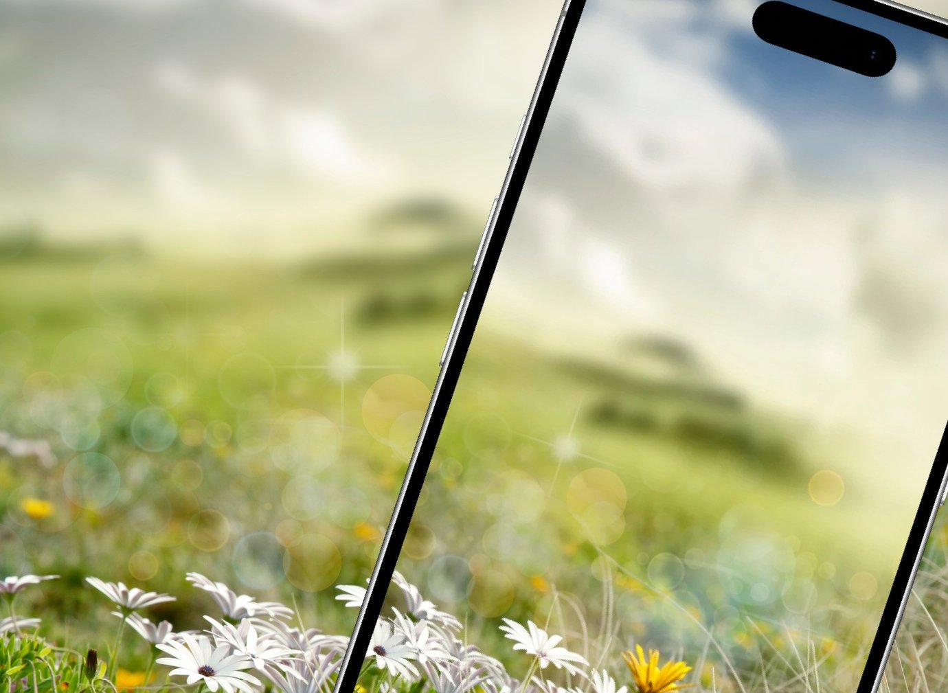 Bild, auf dem ein Smartphone zu sehen ist, das sich vor einer blühenden Landschaft befindet.