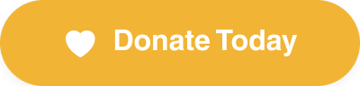 Donate Today to Vision