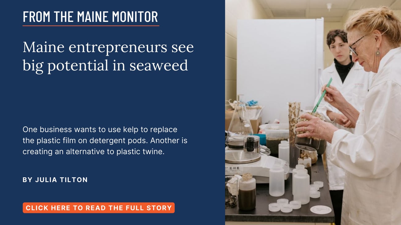 Maine entrepreneurs see big potential in seaweed. One business wants to use kelp to replace the plastic film on detergent pods. Another is creating an alternative to plastic twine. Read this Maine Monitor story by Julia Tilton.