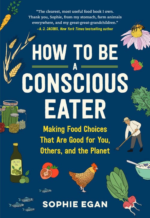 the cover of how to be a conscious consumer book by sophie egan