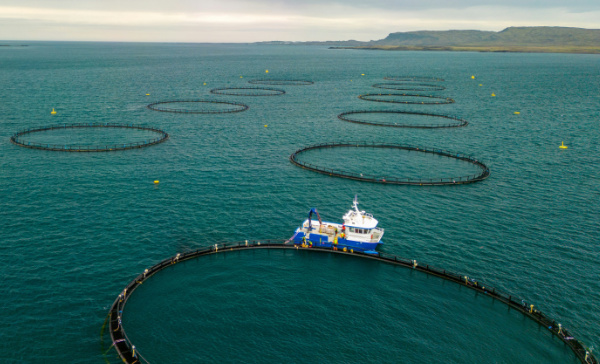 A fish farm in Icelandic waters. (Photo credit: Ed Wingate, Unsplash)