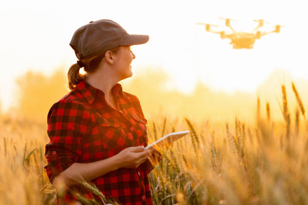 Woman farmer controls drone with a tablet. 