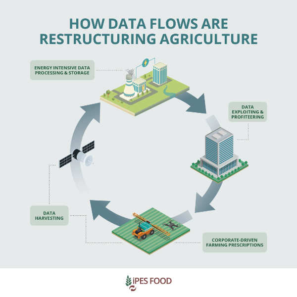 Infographic from IPES: How data flows are restructuring agriculture