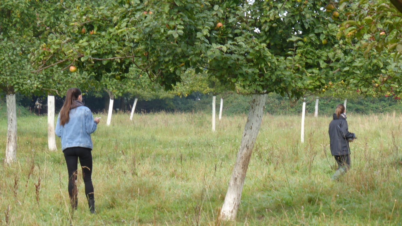 Foto von 2 Personen, die über eine Streuobstwiese laufen.