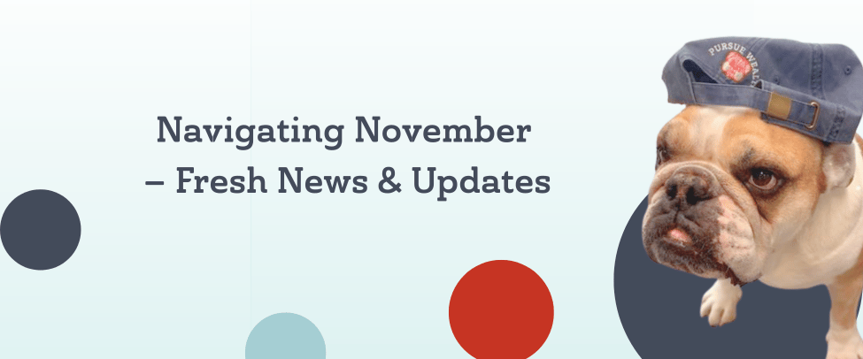 Welcome to our November newsletter