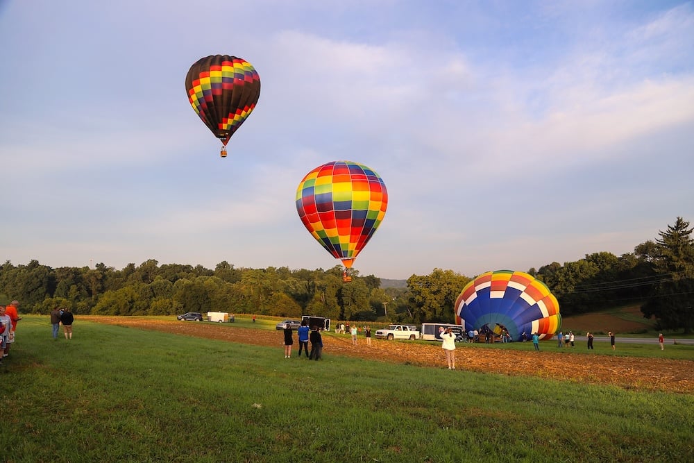 Two colorful hot air balloons in a field