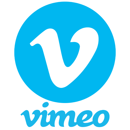 Vi