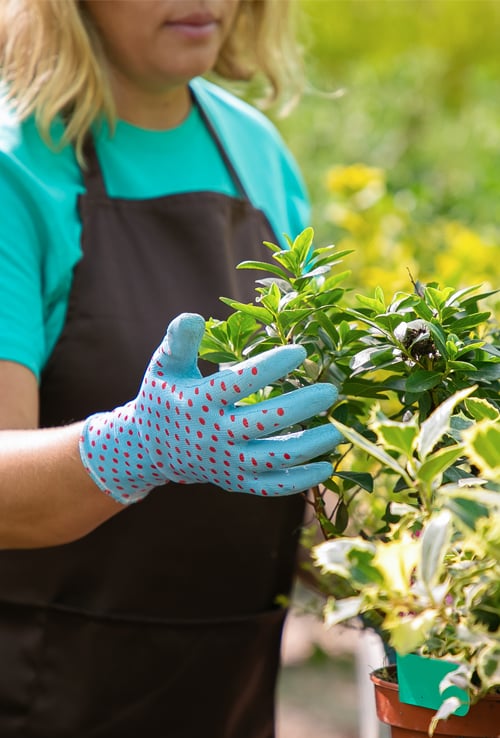 close-up of woman gardening outdoors