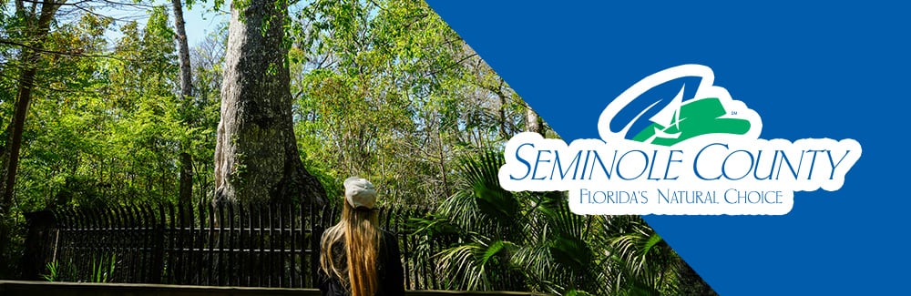 Seminole County Logo with a photo of a person looking up at Lady Liberty at Big Tree Park
