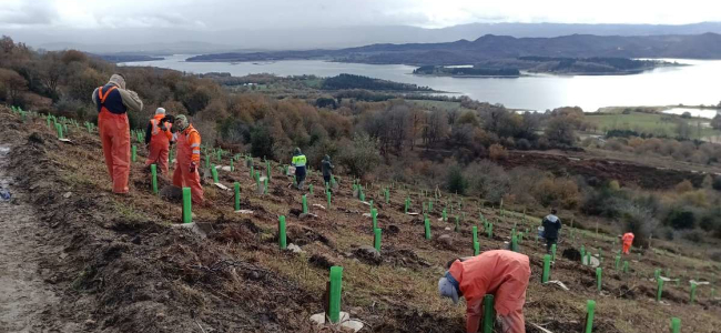 Arabako Foru Aldundiak Zadorra ibai arroko lau hektarea baino gehiago lehengoratu ditu, erresilientzia klimatikoa indartzeko