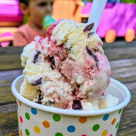 dish of ice cream
