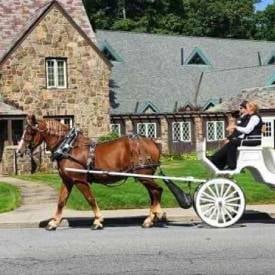 horse-drawn carriage ride