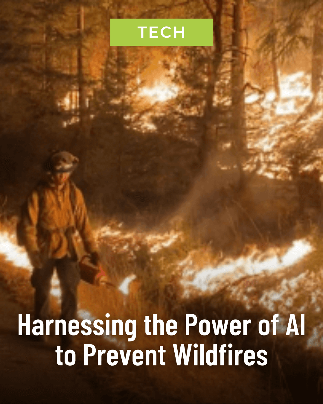 Featured Story