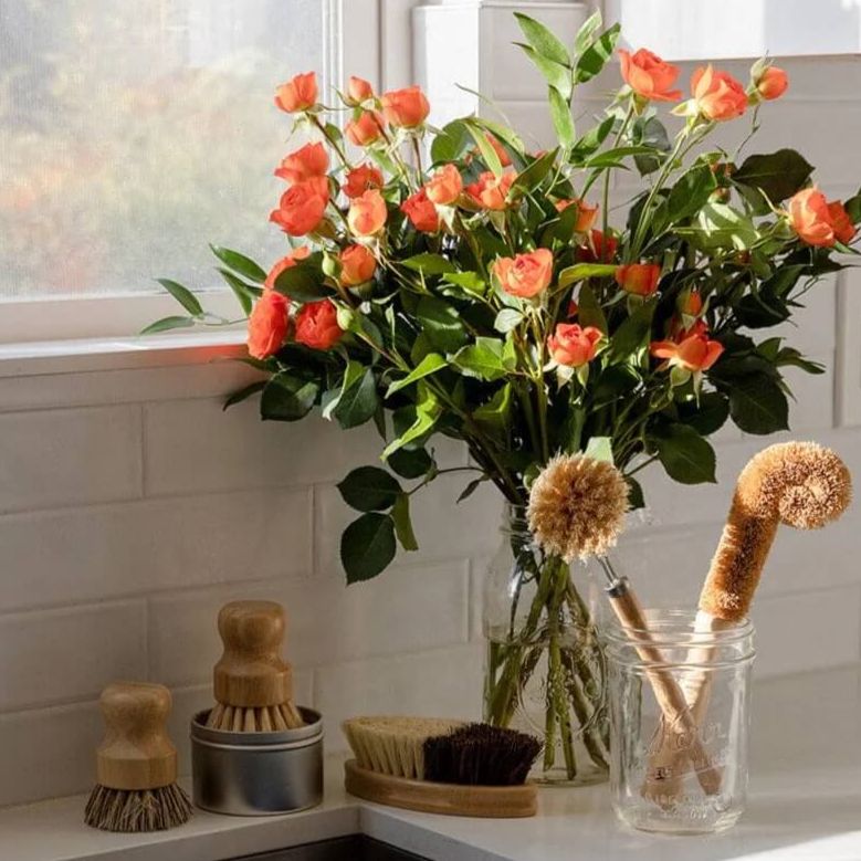 Zero Waste Dish Brush Set