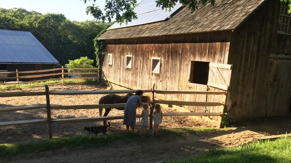 Bella Bennett with kids and a horse