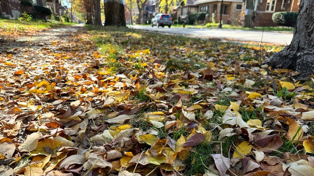 City Hall is pictured in a file photo. (Michael Izquierdo / WTTW News) City Hall is pictured in a file photo. (Michael Izquierdo / WTTW News)