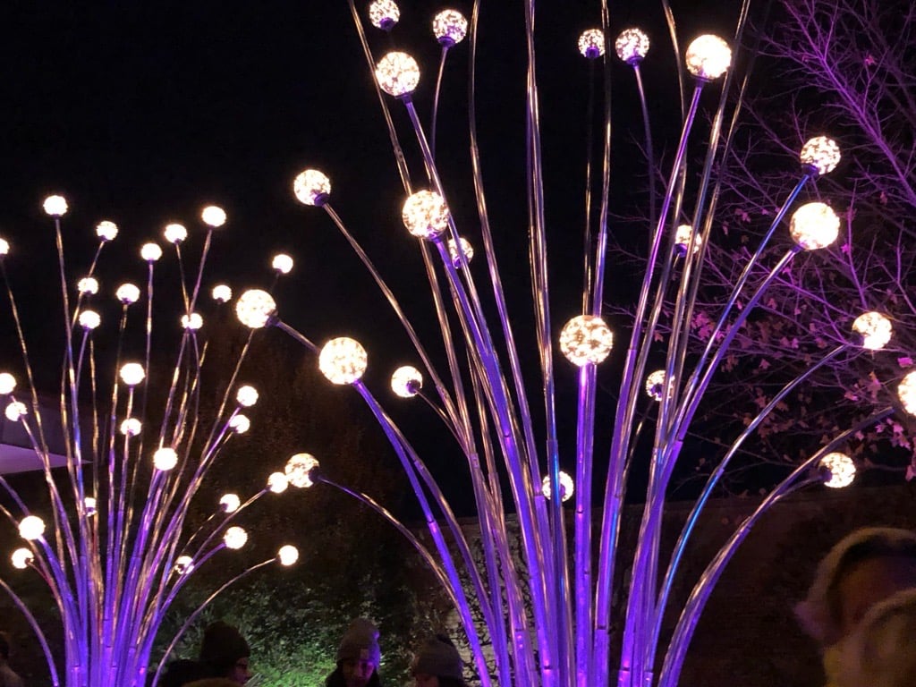Lightscape at Chicago Botanic Garden. Credit: Patty Wetli / WTTW News