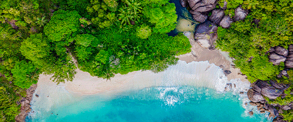 Seychelles éternelles