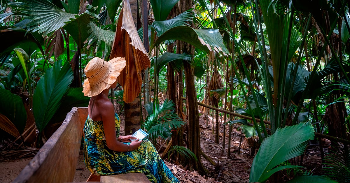 La vallée de Mai, excursion incontournable aux Seychelles La vallée de Mai, excursion incontournable aux Seychelles
