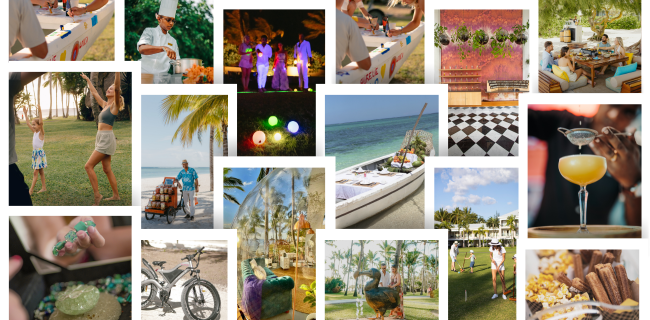 Come Alive Collection