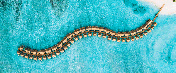 Plongez dans le bleu