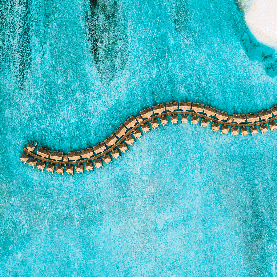 Plongez dans le bleu