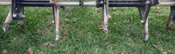 aerating machine in the lawn