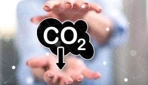 4 Steps to Prepare Your Data Center for Net Zero Carbon Emissions