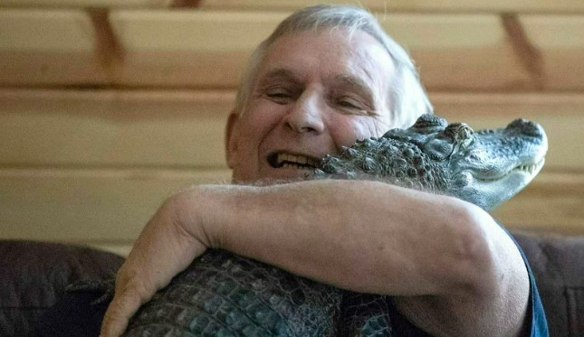 Emotional Support, Gator Wally, Goes Missing