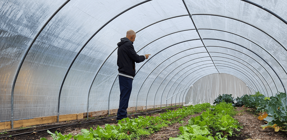 Edible Campus Greenhouse