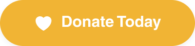 Donate to Vision Today