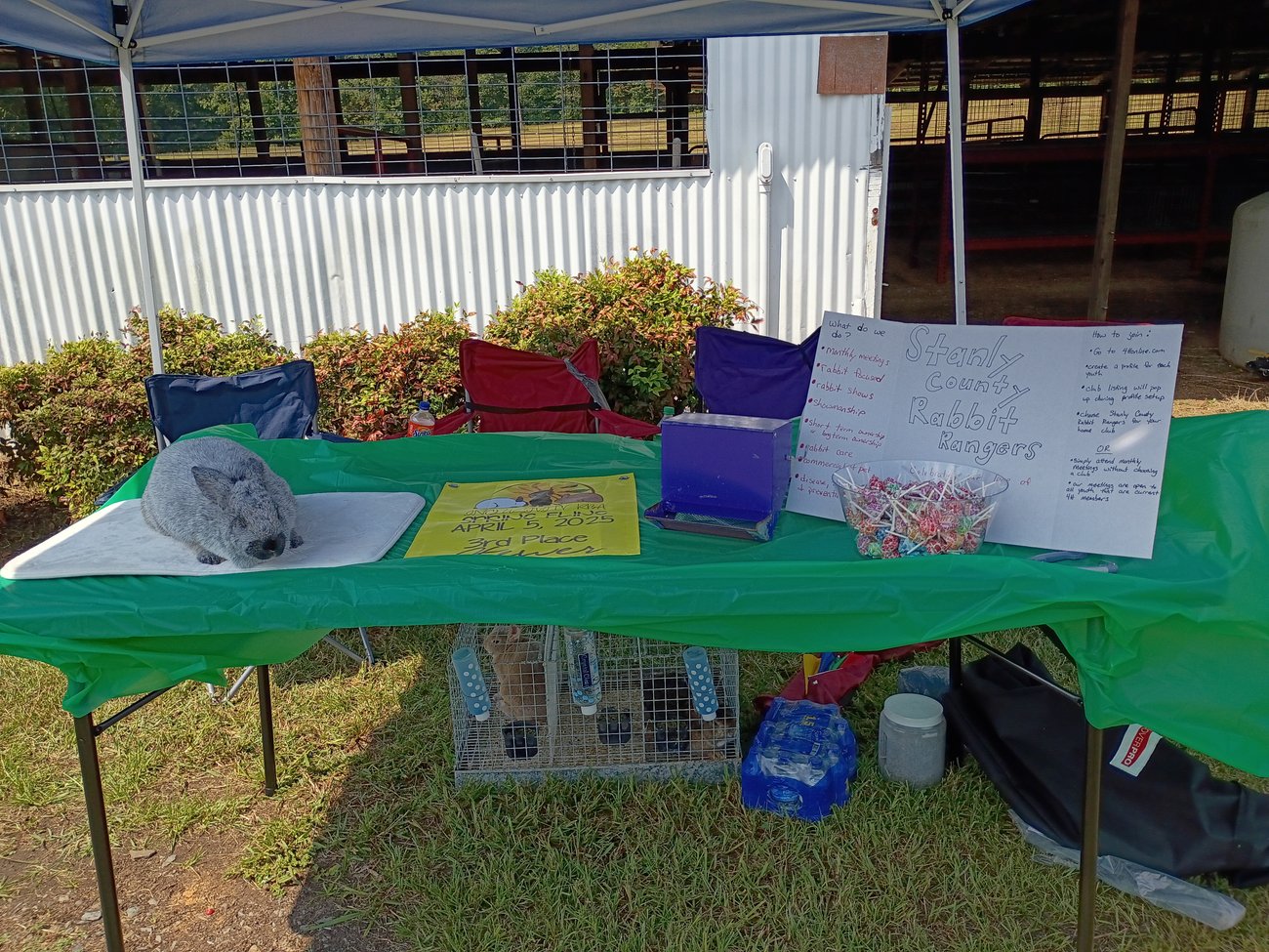 4H Rabit Ranger Club Info Table