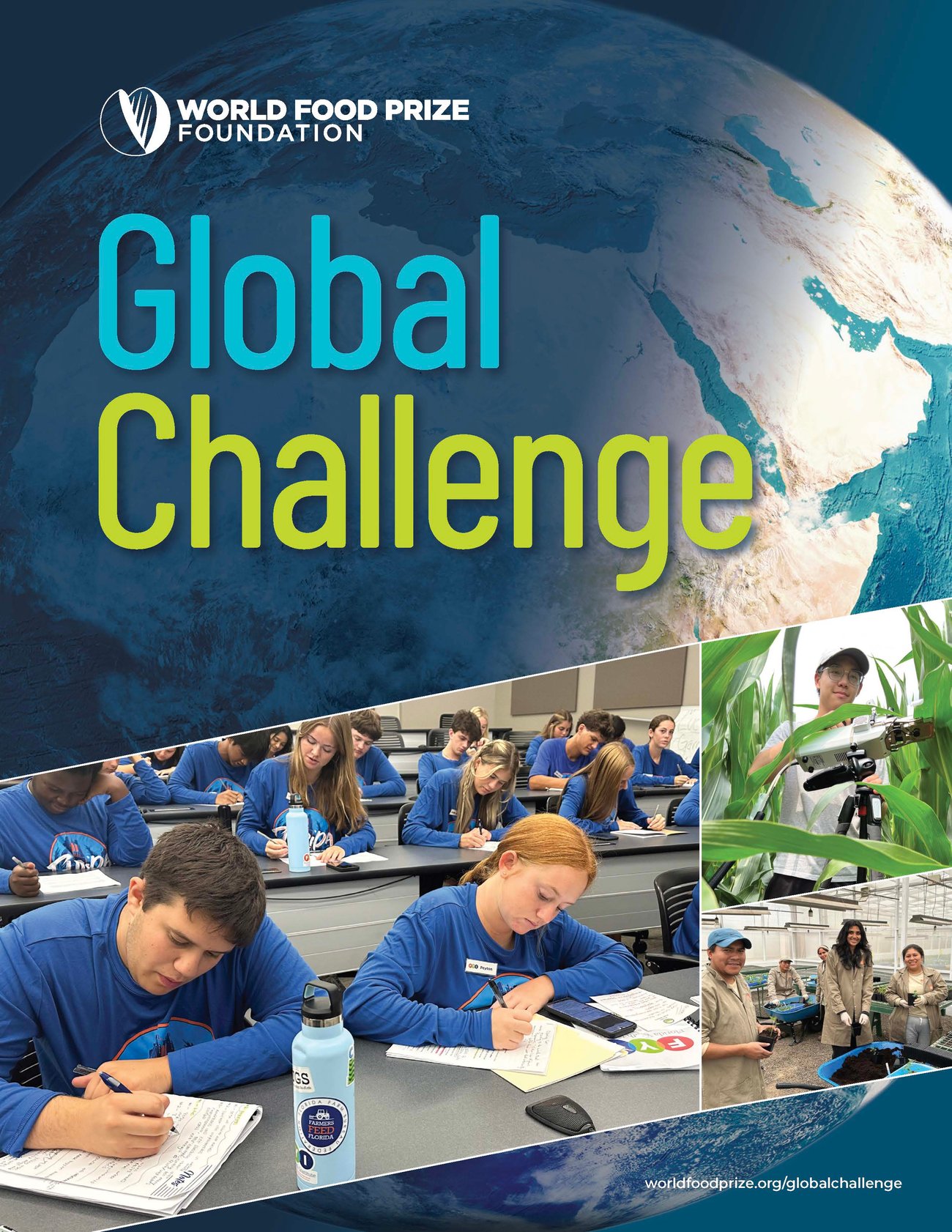 global challenge Infographic