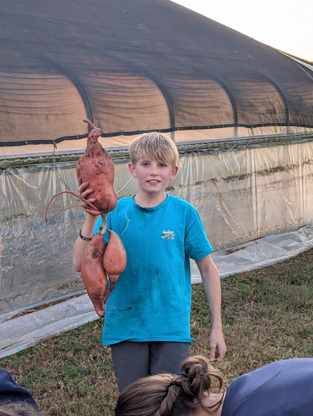 child holding large sweet potato