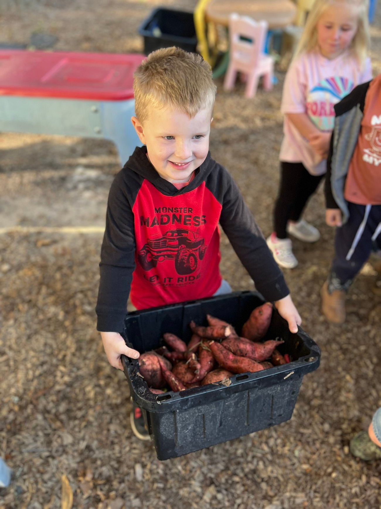kid carrying a bucket of sweet potatoes
