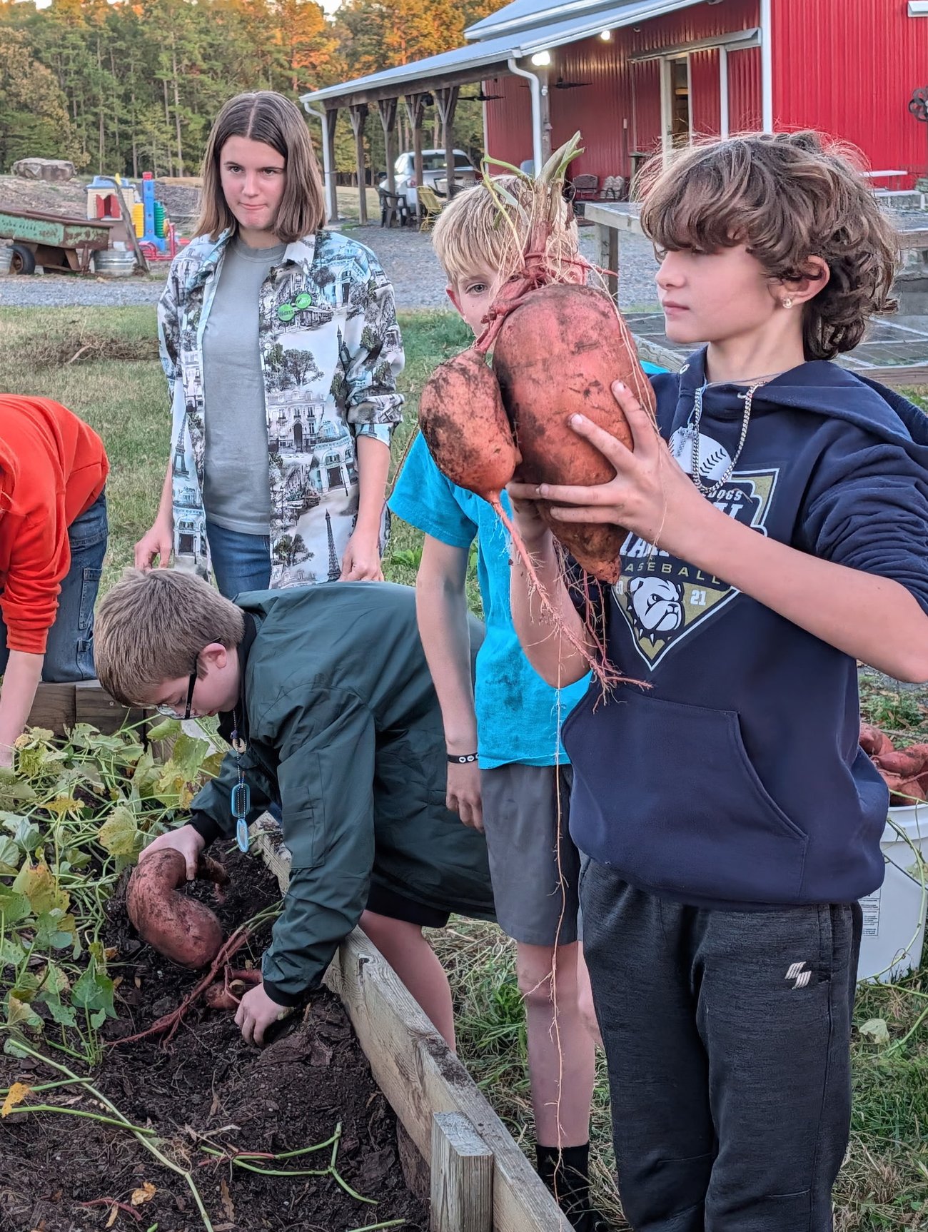 child
holding sweet potato