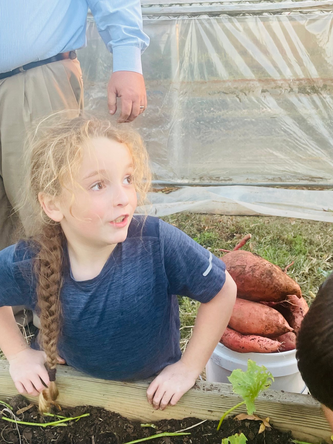 Kid excited to harvest sweet potato