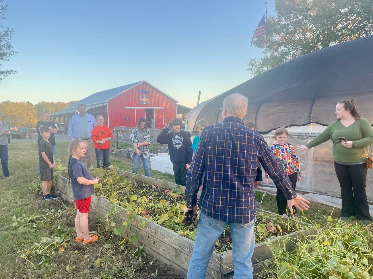 kids learing how to harvest sweet potatos