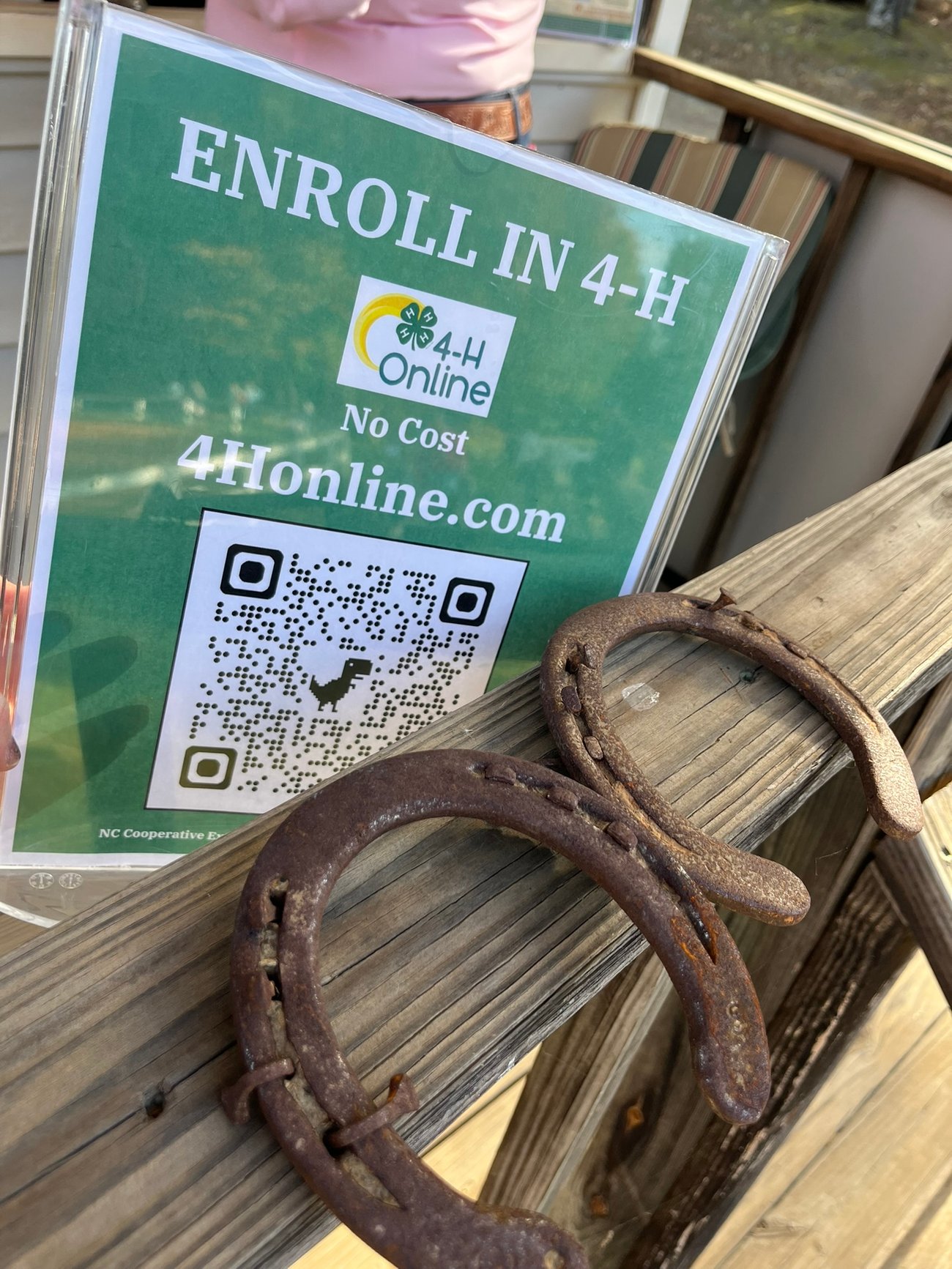 4H Flyer with horse shoes