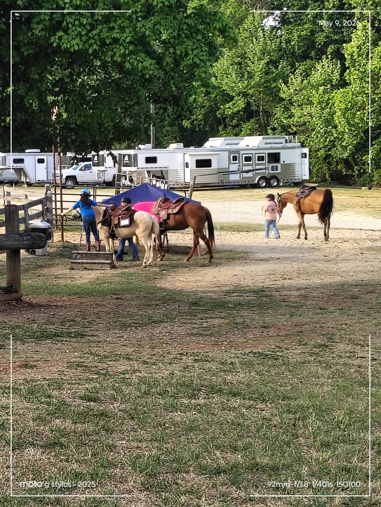 two brown horses with owners