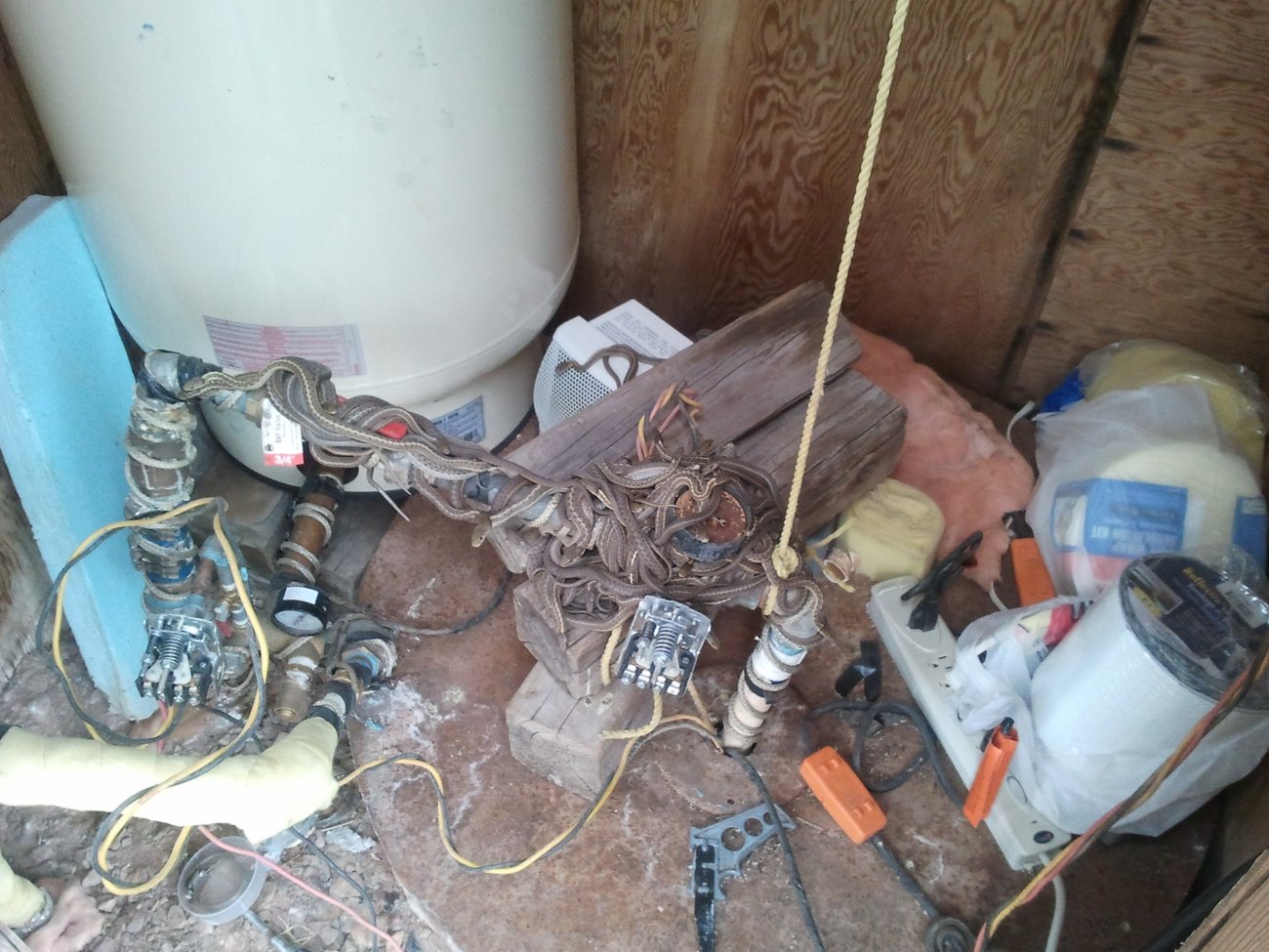 A pile of garter snakes warming on heat tape applied to a Wyoming well.