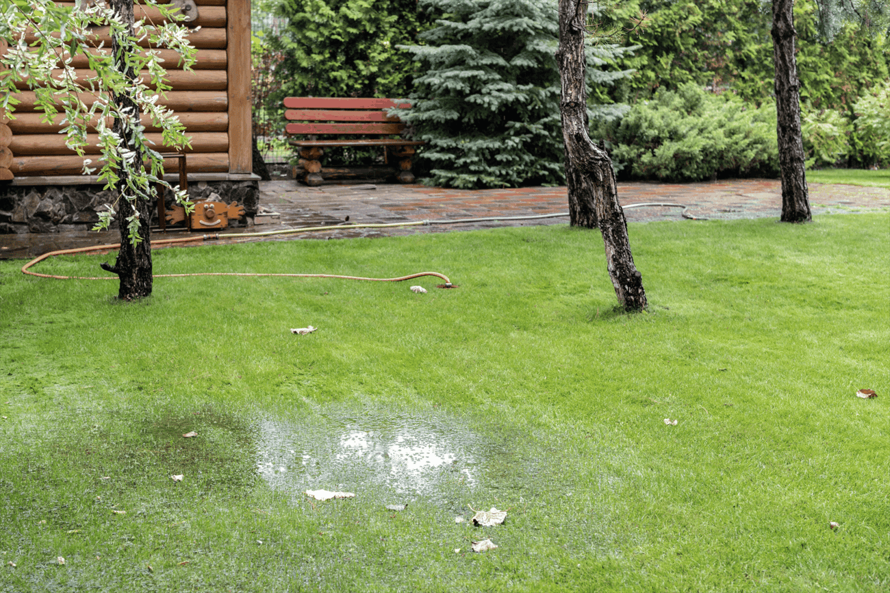 Water pools in the grass of a home's yard after a high amount of rainfall.