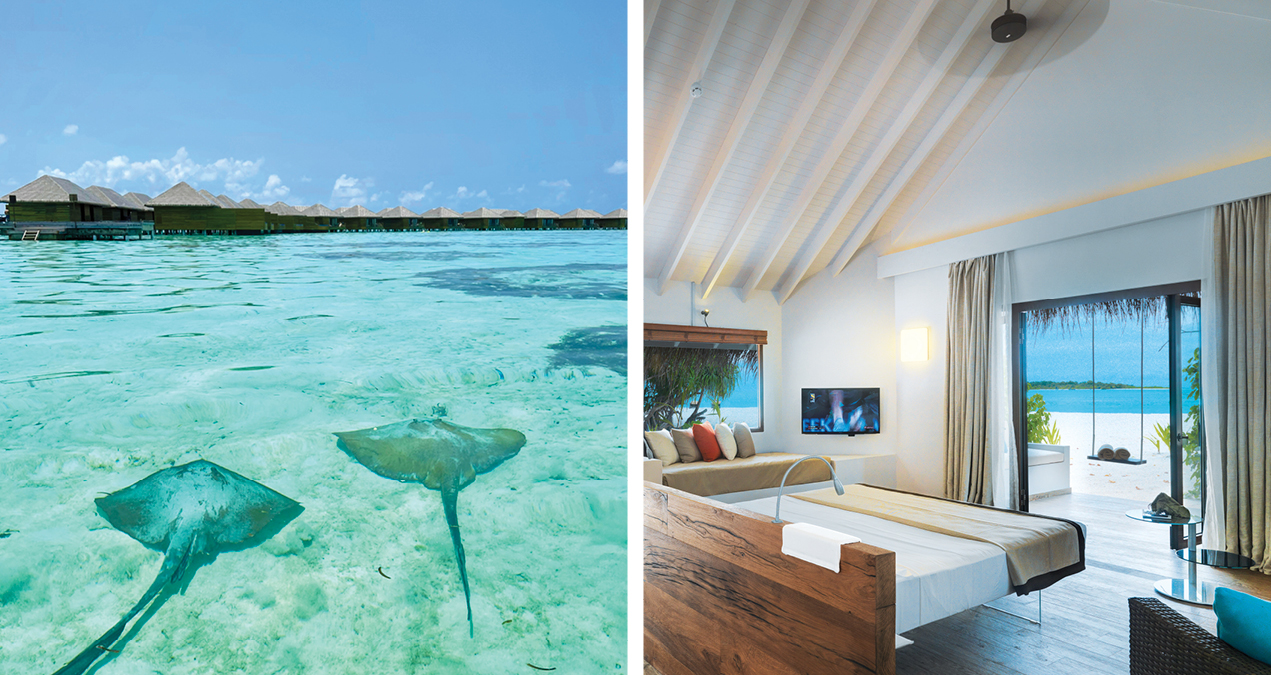 Cocoon Maldives Atmosphere