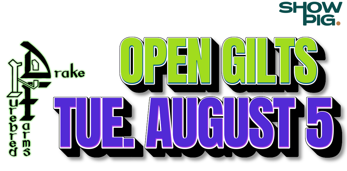 Drake Purebred Farms Online Auction Tue. August 5 - Offering approximately 30 head of Duroc, Hampshire and Yorkshire open gilts farrowed early December-late January.