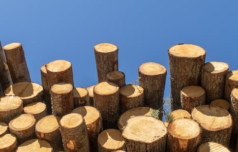 Finsilvan harvennushakkuiden arviointi