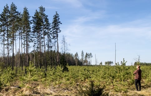 Uusia menetelmiä luonnonmukaiseen täsmäpuuhakkuuseen
